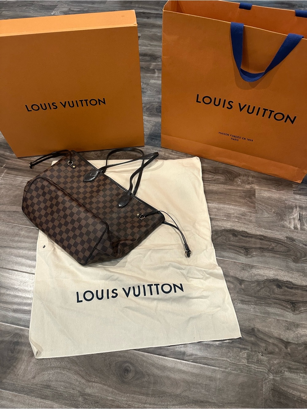 Louis Vuitton Checkered Bag